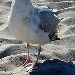 Damekow 9c Naehe Insel Poel Blowatz