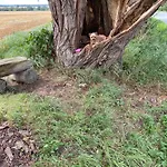 Damekow 9c Naehe Insel Poel Casa de Férias *