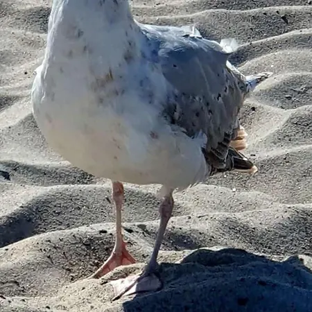 Damekow 9c Naehe Insel Poel Blowatz