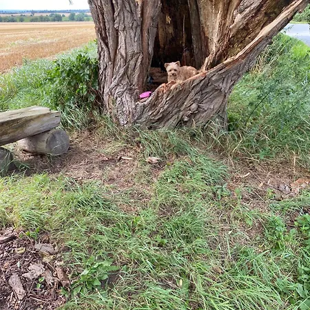 Damekow 9c Naehe Insel Poel Prázdninový dům *