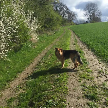 Damekow 9c Naehe Insel Poel Prázdninový dům Blowatz