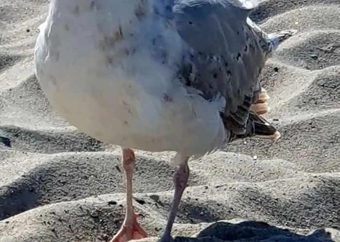 Damekow 9c Nähe Insel Poel Blowatz